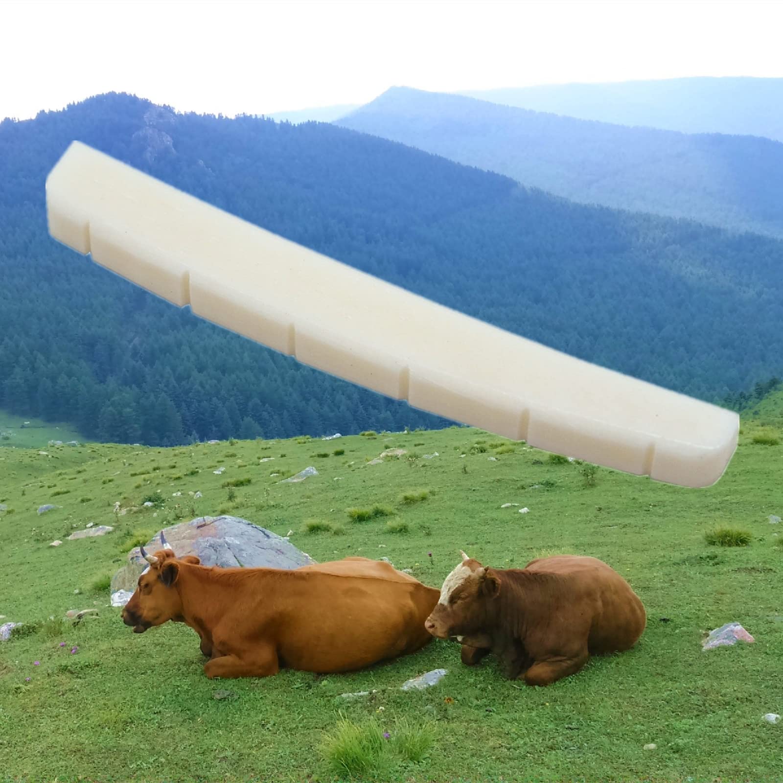 Miwayer 6 String Electric Guitar Bone Nut Curved Bottom Pre-Slotted Made of Real Bone (43 X 3.2 X 5/5.65/4.6mm 1 pack)